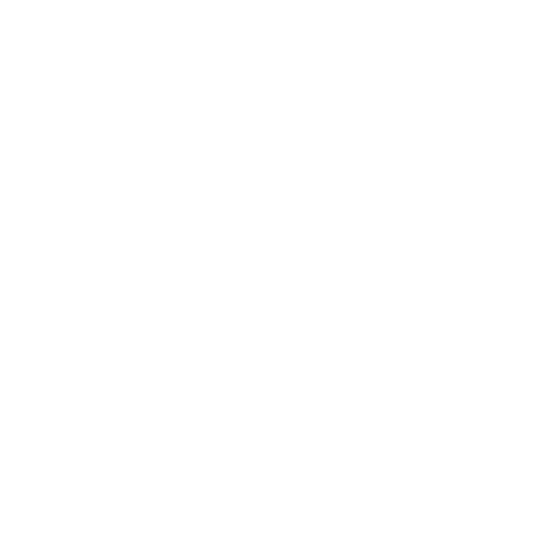 Tas Christmas Lights